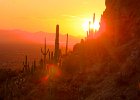 Gates Pass Sunset